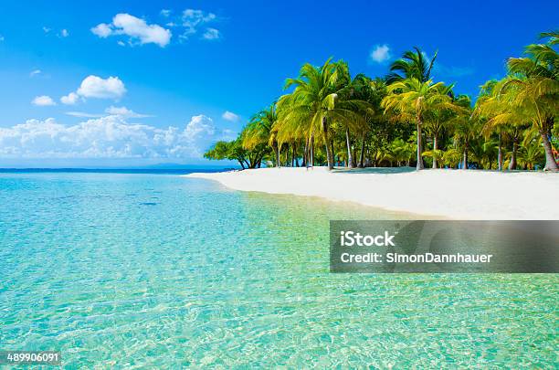 Paradise Beach On Beautiful Island Stock Photo - Download Image Now - Belize, Beach, Caribbean Sea