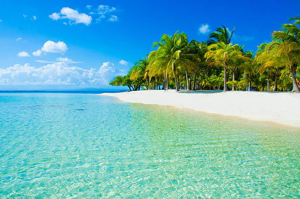 paradise beach on beautiful island - 伯利茲 個照片及圖片檔