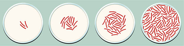 pathogenic バクテリア成長 - bacterium petri dish microbiology cell点のイラスト素材／クリップアート素材／マンガ素材／アイコン素材