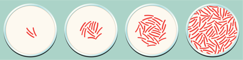 Petri Dish with Growth of Bacterial Populations. 