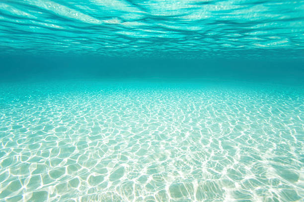 istock underwater seascape with white sand bottom in the Caribbean 489907335