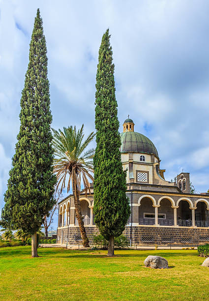 istock The cypress and palm trees 489907448