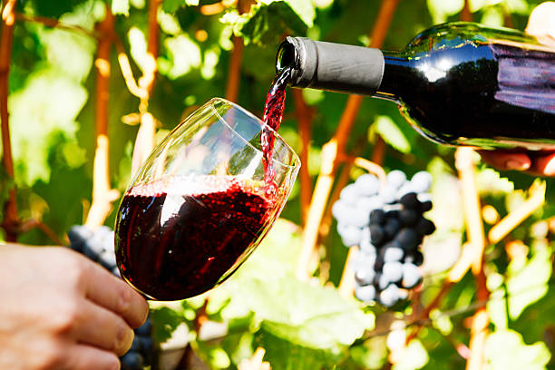 istock Hand pouring red wine in vineyard where the grapes grew 489907595