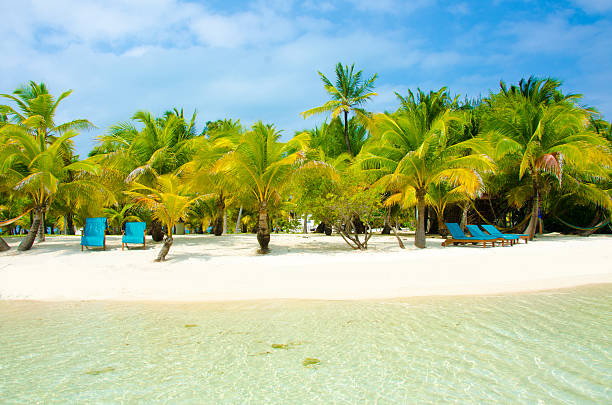 istock Paradise Beach on beautiful island 489908563