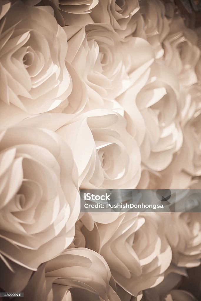 Retro White Rose. Retro style of white rose background. Arrangement Stock Photo