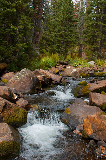 istock Autumn at Brainard Lake and the Indian Peaks 489911012