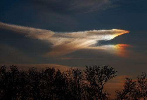 Iridescent cloud in the shape of a bird.