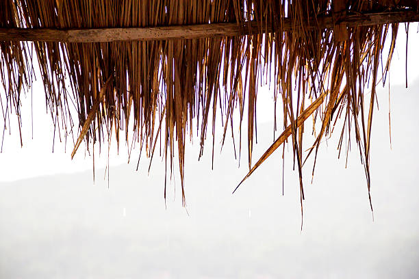 istock Eaves or roof from dry leaves. 489923748