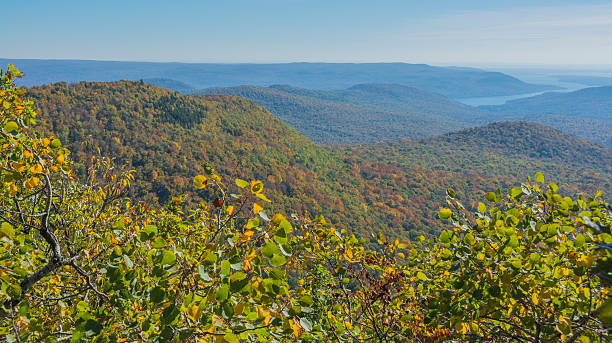 istock Autumn Colors In The Mountains 489927400