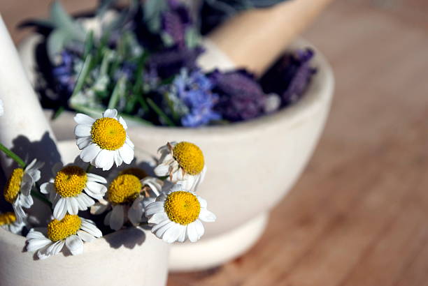 frais fond à base de plantes naturelles - mortar and pestle lavender chamomile herb photos et images de collection