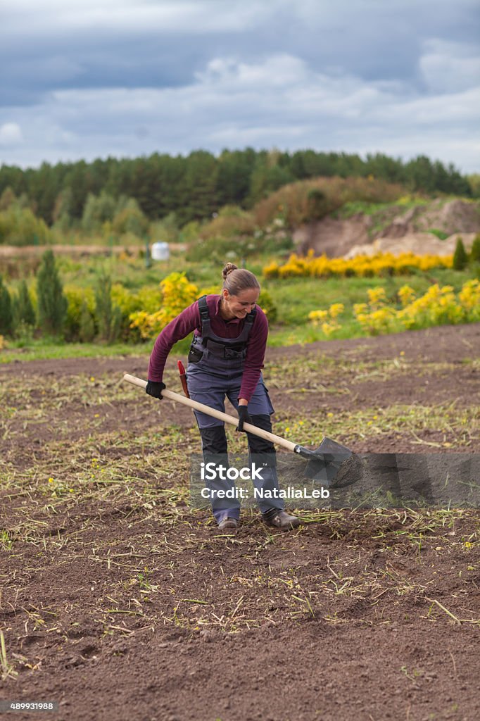 Woman gardener digging earth Woman gardener digging earth garden center 2015 Stock Photo