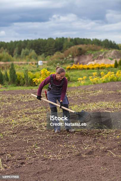 Woman Gardener Digging Earth Stock Photo - Download Image Now - 2015, Activity, Adult