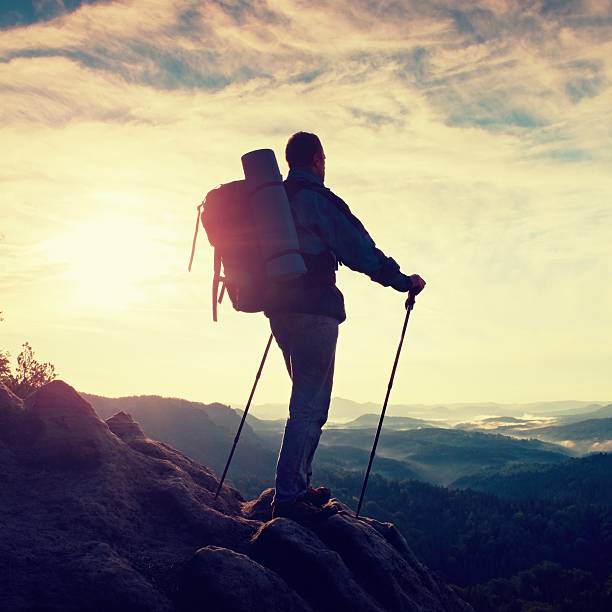 istock Tourist guide with pole in hand. Hiker with sporty backpack 489932090