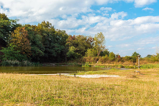 istock Bench by lake in park, early fall, Lviv, beautiful landscape 489932358