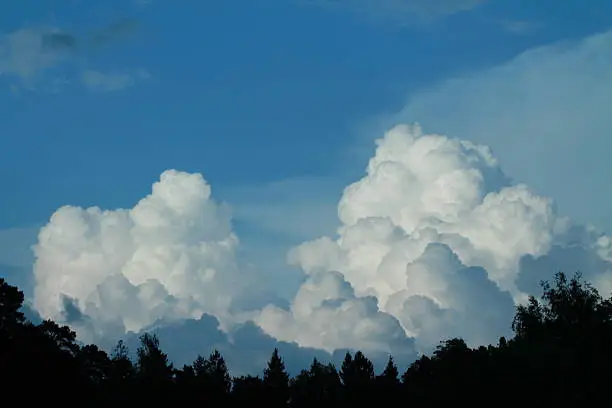 clouds over the forest