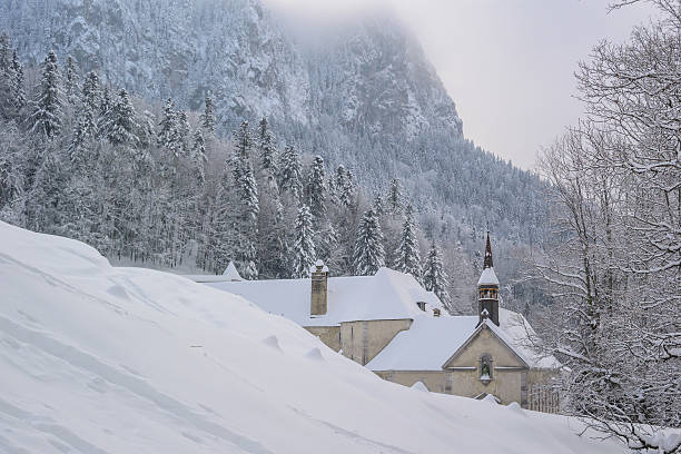 istock Winter Landscape with Snow and Trees 489947018