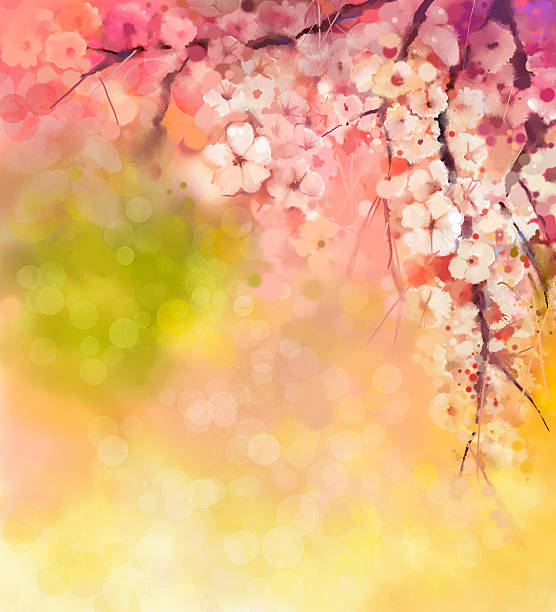 수채화 벚꽃 꽃 - spring vertical cherry blossom color image stock illustrations