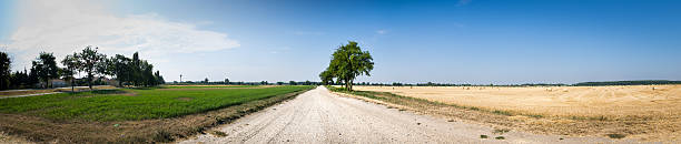 Rural Path stock photo