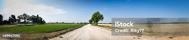Rural Path Stock Photo - Download Image Now - 2015, Agricultural Field, Agriculture