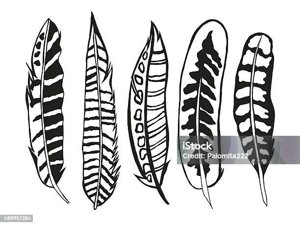 Tribal Feathers Set Stock Illustration - Download Image Now - 2015, Abstract, Animal Body Part