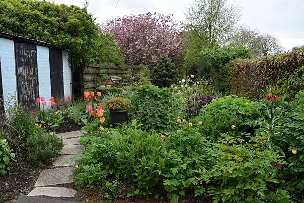 istock Country garden in spring, flowers, plants and trees 489953420