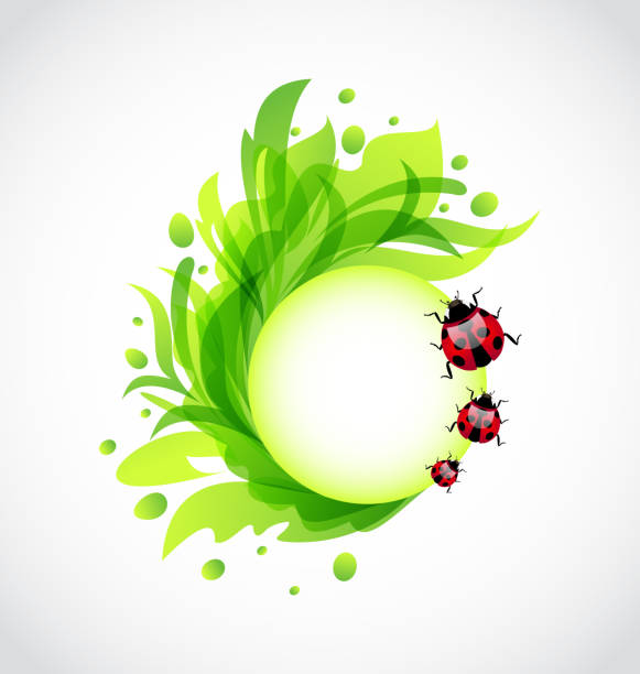 eco mit transparenten hintergrund mit ladybugs - flourishes growth dirty circle stock-grafiken, -clipart, -cartoons und -symbole