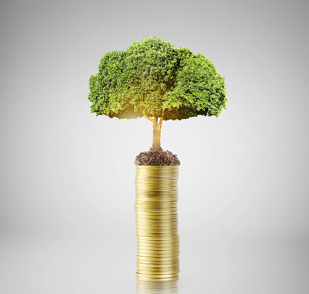 istock Investment concept, Coins graph stock 489955674