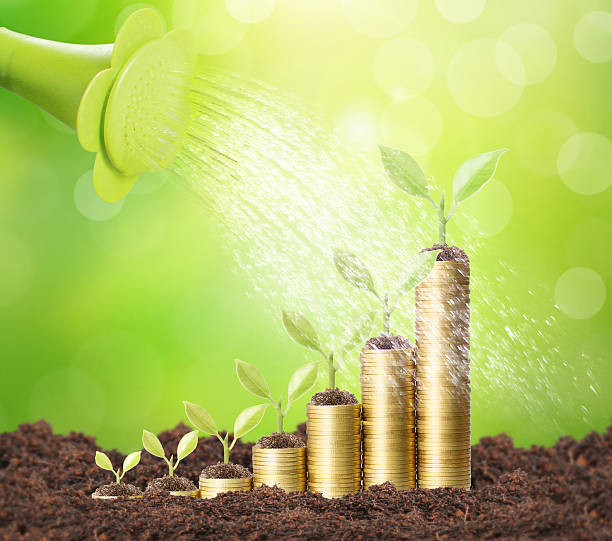 istock Investment concept, Coins graph stock 489955870