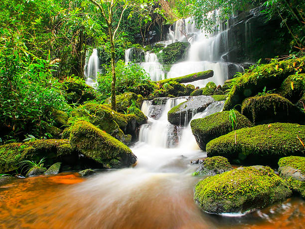 водопад mundang, petchaboon, таиланд - waterfall thailand tropical rainforest tropical climate стоковые фото и изображения