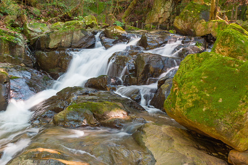 Water falls over a jumble of moss-covered boulders in forest.