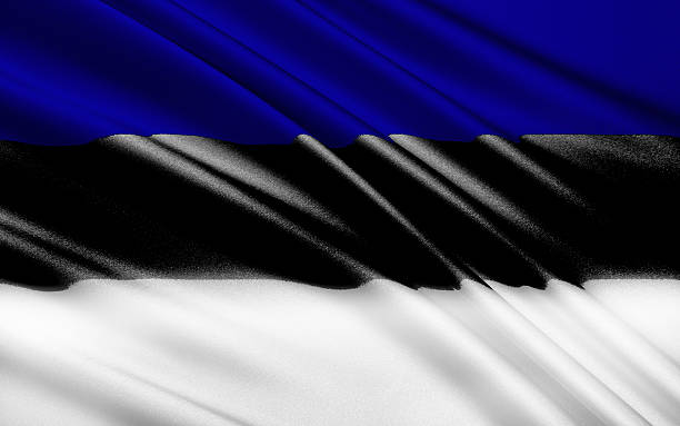istock Flag of Estonia 489957576