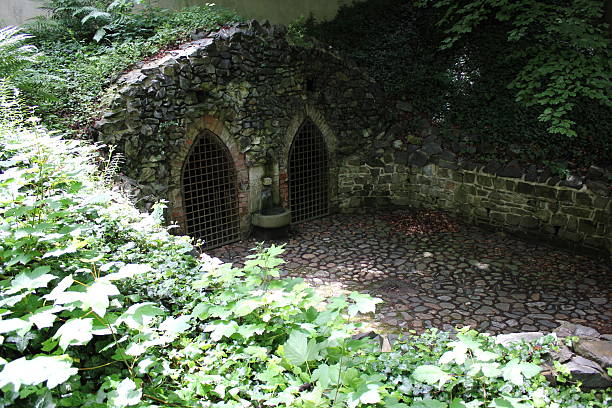 istock Green ivy and stone wall 7913 489959302