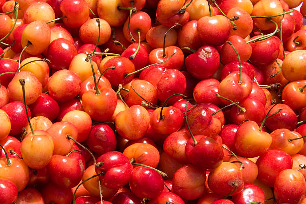 istock Cherries at the market 489960562