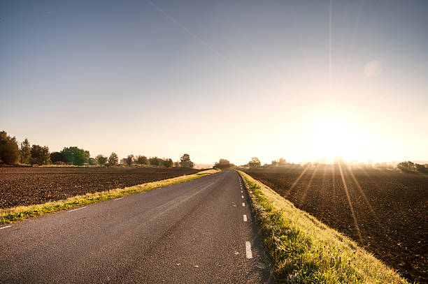 istock Country road in the sunrise 489961444