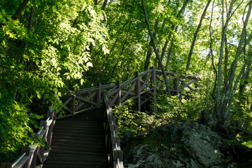 Hiking path in a mountain, South Korea