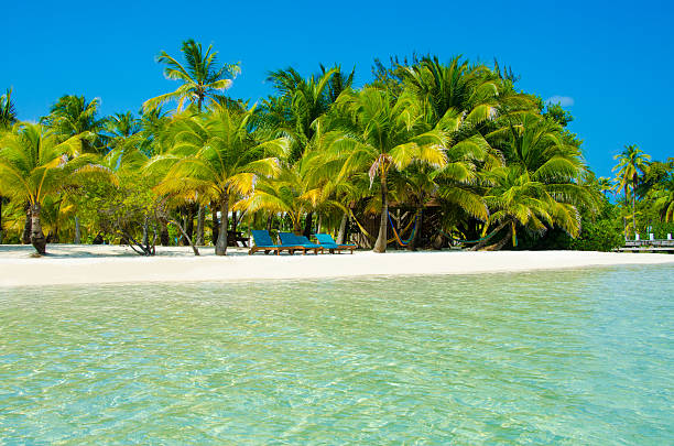 istock Paradise Beach on beautiful island South Water Caye - Belize 489969419