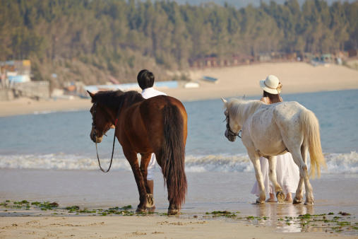 a Chinese couple walking on beach with horses