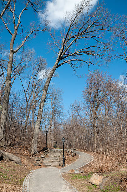 istock Central Park, New York City 489971785