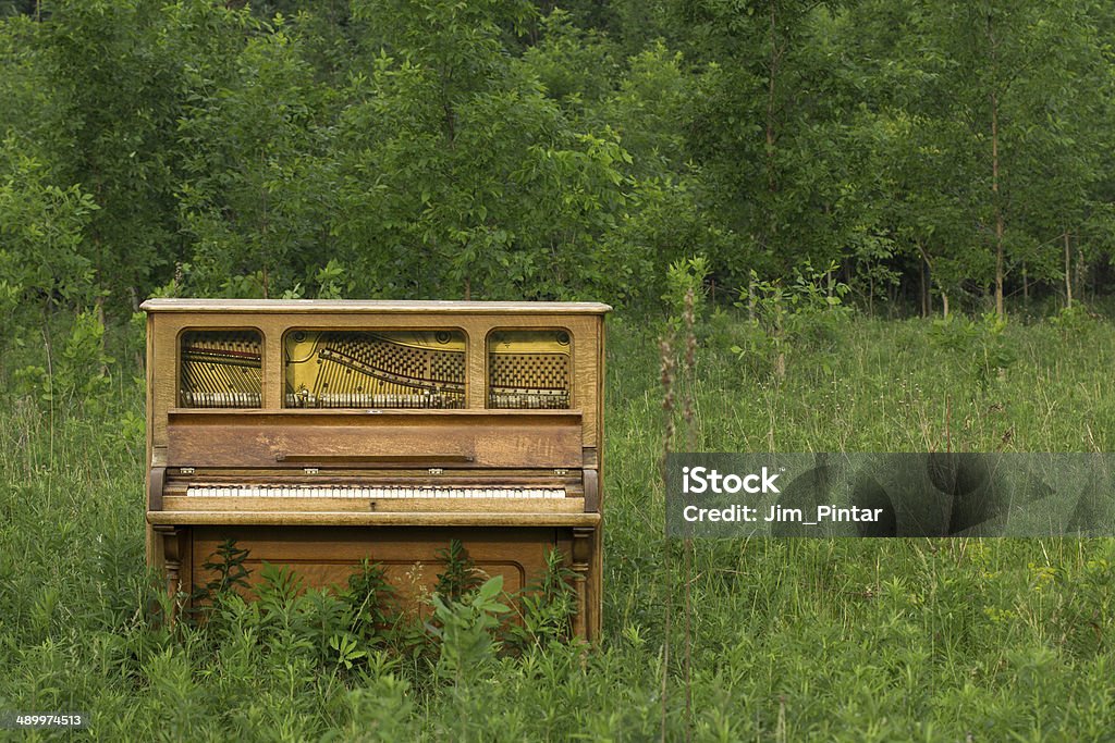 Abandoned Piano with Copy Space Unique and interesting photograph of an upright piano that has been abandoned in a green field.  There is copy space in the right and upper part of the frame.  This is a quirky image that could be applicable to concepts including music, humor, rural life, uniqueness, nature and many more. Piano Stock Photo