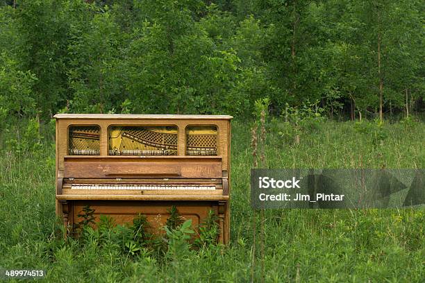 Abandoned Piano With Copy Space Stock Photo - Download Image Now - Piano, Agricultural Field, Meadow