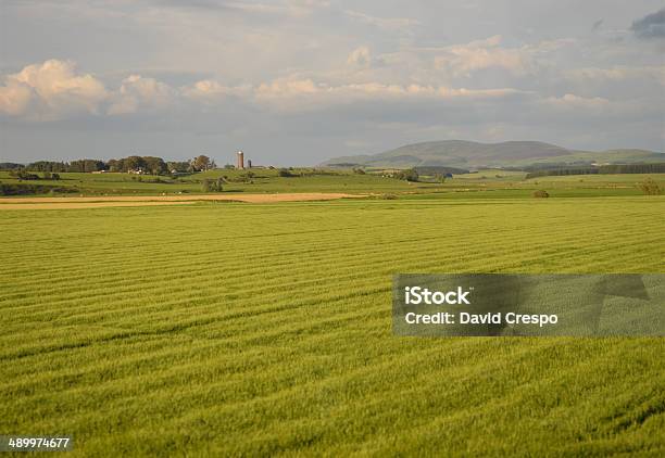 Campo Británico Foto de stock y más banco de imágenes de Agricultura - Agricultura, Aire libre, Ajardinado
