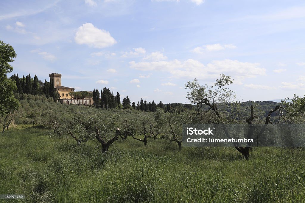 Paisaje de Toscana - Foto de stock de Agricultura libre de derechos