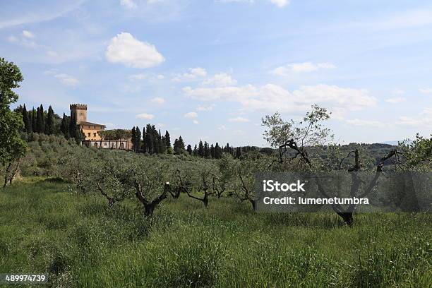 Paisaje De Toscana Foto de stock y más banco de imágenes de Agricultura - Agricultura, Aire libre, Aislado