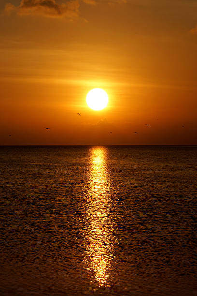 istock Beautiful sunset at the lake 489974975