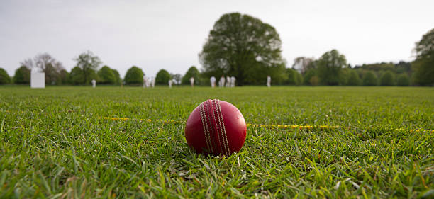 Lets play cricket stock photo