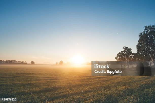 Beautiful Sunrise Over Misty Field An Early Summer Morning Stock Photo - Download Image Now