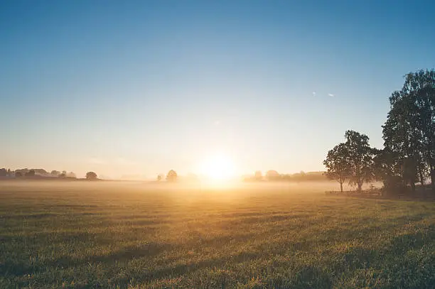 Photo of Beautiful sunrise over misty field an early summer morning