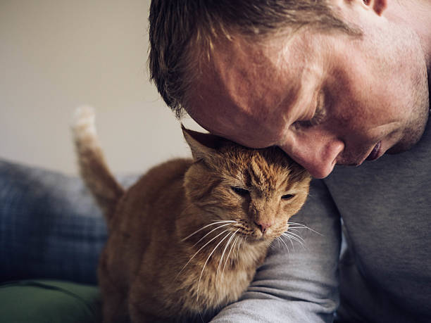 istock Cute cat and his owner 489976822