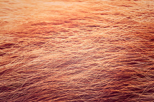 Red cat fur closeup ,vintage tone stock photo