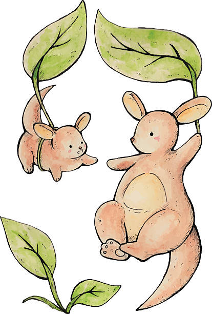 ilustraciones, imágenes clip art, dibujos animados e iconos de stock de madre y niño kangaroo - young animal mother kangaroo family